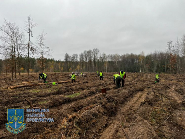 Вінницькі прокурори висадили понад 1000 хвойних дерев