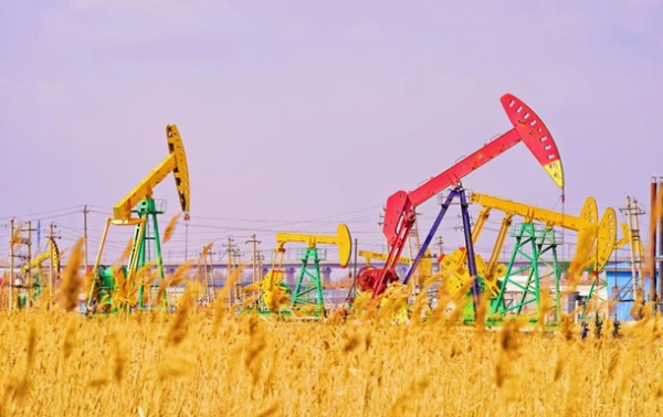 Ціни на нафту обвалилися на світових ринках