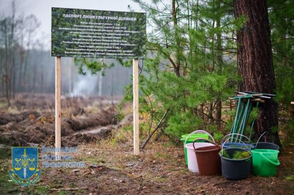 Вінницькі прокурори висадили понад 1000 хвойних дерев