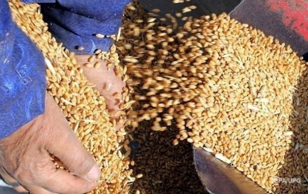 Окупанти вивозять вкрадене українське зерно через порти Криму - ЦНС