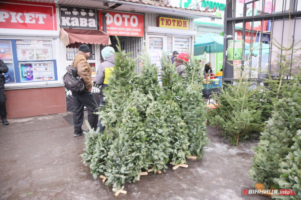 У Вінниці почали продавати новорічні ялинки: які ціни