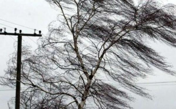 Вінничан попереджають про вітряну погоду 14 грудня