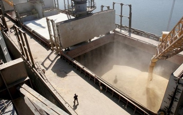 Україна зменшила експорт зерна на третину