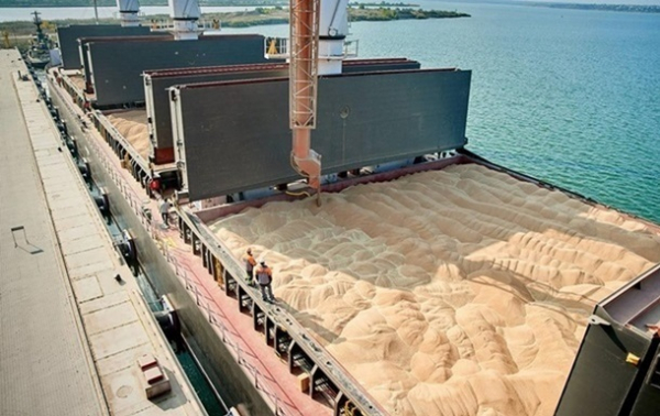Україна експортувала понад 20 млн тонн зернових та зернобобових