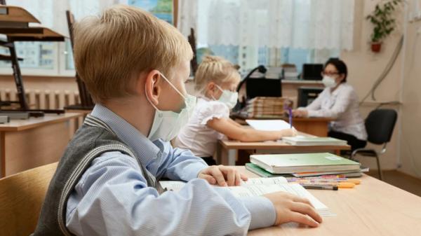З понеділка всі школи Вінниці переходять на дистанційне навчання через грип