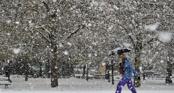 У Вінниці очікується посилення вітру та значний сніг