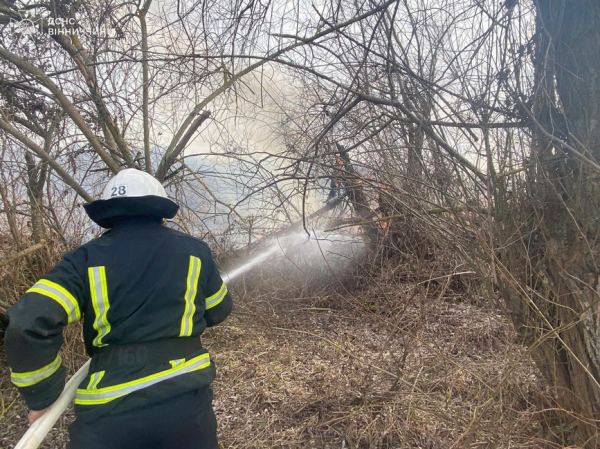 На Вінниччині за добу рятувальники гасили 12 пожеж в екосистемах
