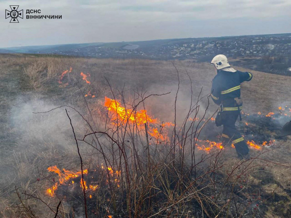 Вогнеборці Вінниччини врятували ще одне зайченя під час пожежі