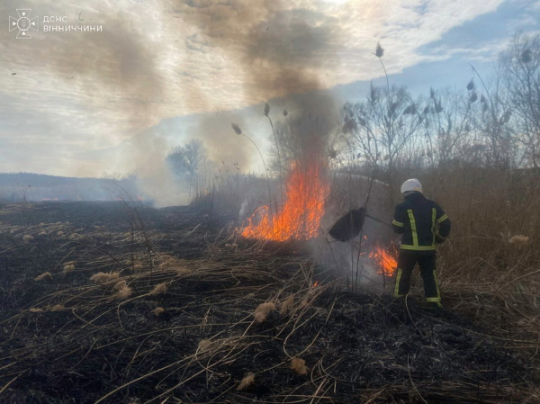 На Вінниччині за добу рятувальники гасили 12 пожеж в екосистемах