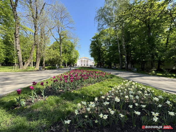 У вінницькому парку імені Леонтовича розцвіли тюльпани