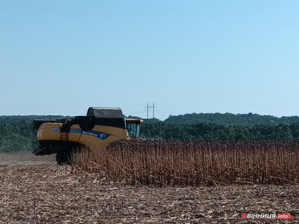 На Вінниччині стартував збір соняшника