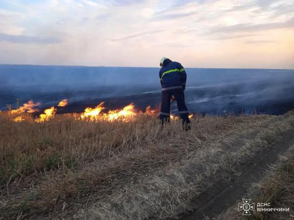 Біля села на Вінниччині вогнем обпалило майже три гектари ґрунту