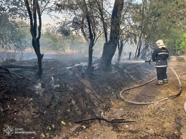 Біля села на Вінниччині вогнем обпалило майже три гектари ґрунту