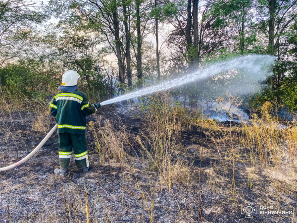 Біля села на Вінниччині вогнем обпалило майже три гектари ґрунту