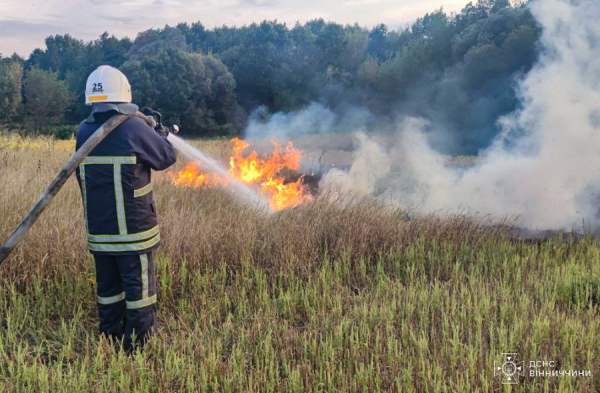 Біля села на Вінниччині вогнем обпалило майже три гектари ґрунту