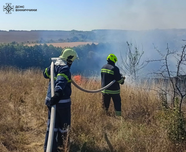 За минулу добу на Вінниччині згоріло 5 тонн соломи та металевий контейнер