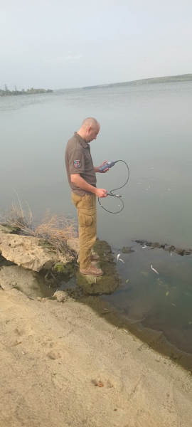 У Південному Бугу на Ладижинському водосховищі загинула риба