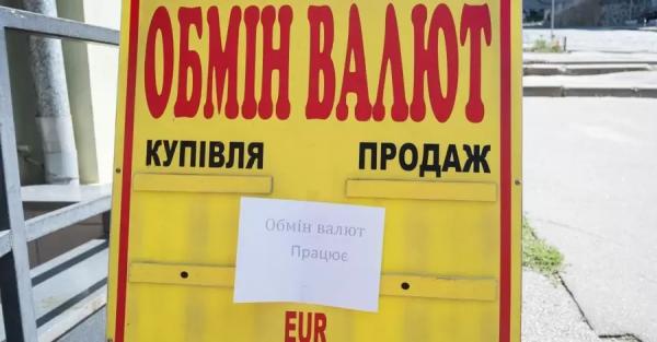 "Валютний любимчик". Чому українці знову масово скуповують долари та чого чекати від курсу