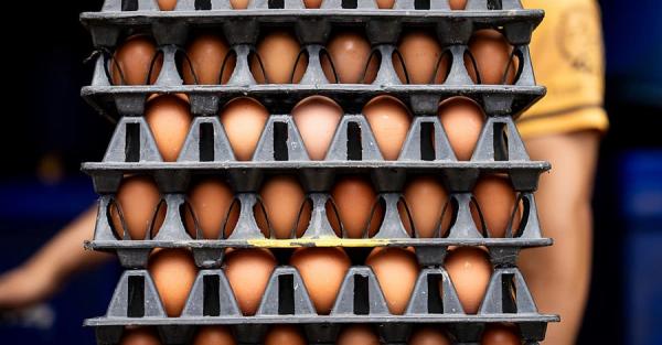 Ціни на продукти в Україні зрівнялись з європейськими, - Нацбанк