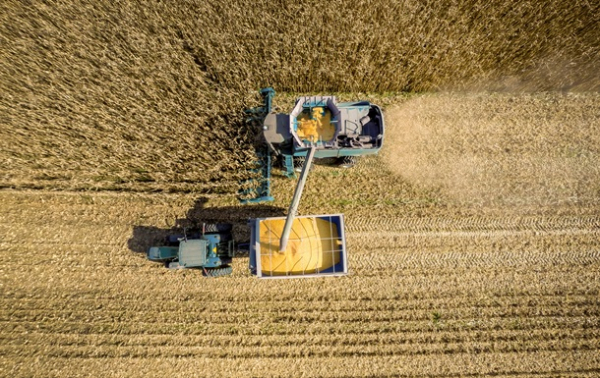 В Україні обмолочено 73% зернових площ