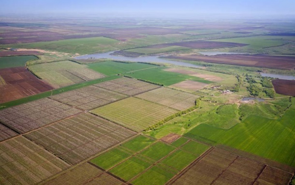 В Україні за чотири роки реалізували понад 30 тисяч земельних ділянок 