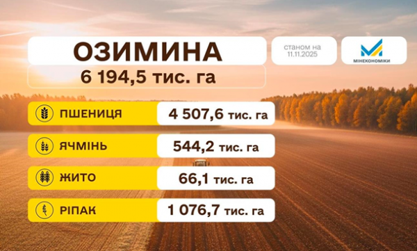 Посівна-2025: озимими засіяли 94,5% запланованих полів