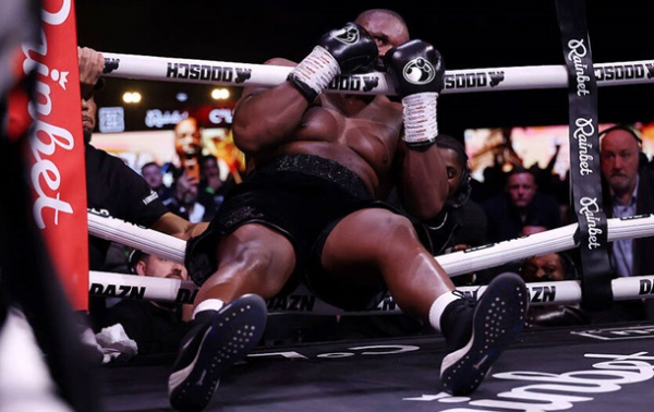 Стало відомо, чи покарають рефері бою Вайлдер - Чісора